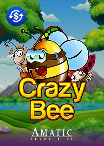 Crazy Bee