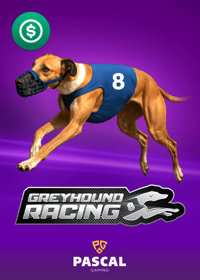 Virtual Greyhounds 8