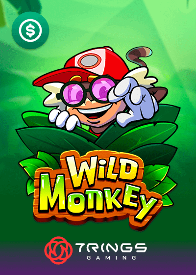 Wild Monkey
